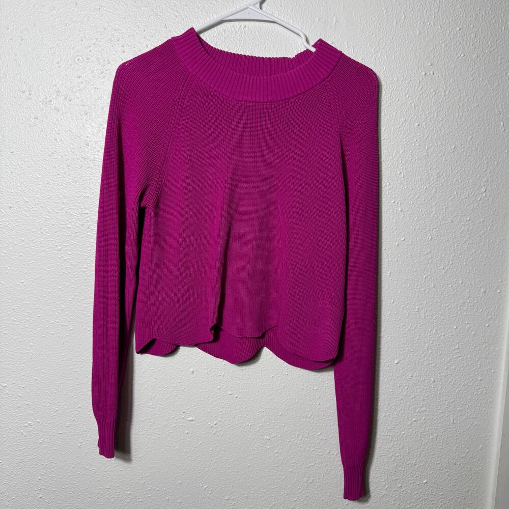 NWOT Aritzia Wilfred Sardou Sweater